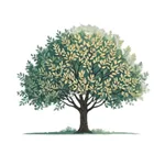 말씀나무 - 성경 구절 모음 icon