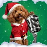 Dog Translator: Dog Training icon