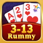 Rummy Three Thirteen icon