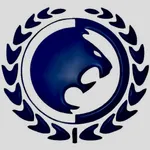 Renzo Gracie USA icon