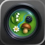 Mushroom map : Picking icon