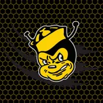 Sidney Yellowjackets Athletics icon