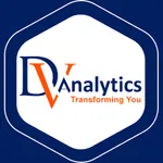 DV Analytics icon