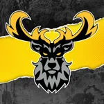 Centerville Athletics icon