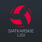 Siatkarskie Ligi - PLS icon