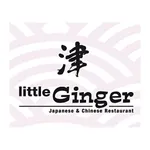 Little Ginger icon