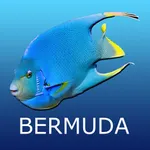 Bermuda Reef Life icon