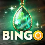 Bingo Diary icon