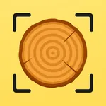 Wood Identifier - Grainy icon