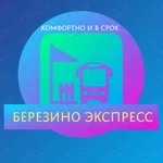 Березино-Экспресс icon