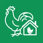 Chicken Buddy icon