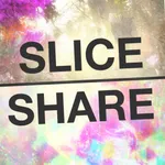 Slice And Share icon