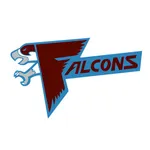 North Country Falcons icon