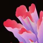 SOLL: Cute Wallpapers 4K icon