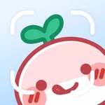 AI Calorie Counter: PixCalo icon