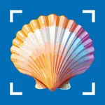 Sea Shell Identifier & Scan icon
