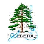Sedera icon
