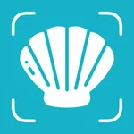 Sea Shell Identifier: Shellium icon
