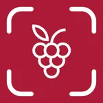 Wine Shelf Scanner - VinSip icon