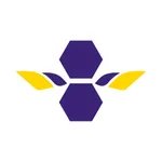 Fleetemy icon