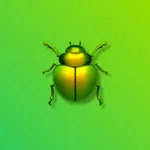 InsectDex - Pokedex Insectes icon