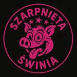 ŚwiniApka icon