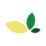 Limonlu Bahçe icon