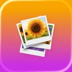 Photos Swipe Sorter icon