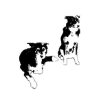 Scott McCall Fitness icon