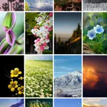 MIX WALLS - Mixed Wallpapers icon