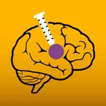 Brain Target Guidance icon
