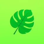 Plant Identifier: Plantify AI icon