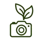 CapRandom - 随搭 icon