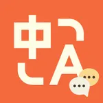 Translate Screen icon