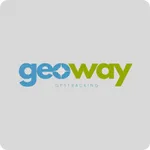 Geoway icon