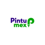 Pintumex icon