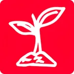 红豆苗 icon
