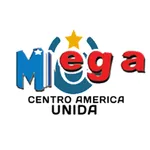 Mega Multi Servicio USA icon