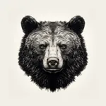 North Shore Now icon