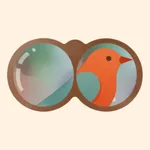 Birder - Bird Identifier Game icon