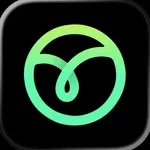 Innertune Music icon