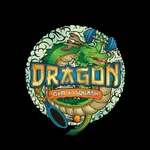 Dragon Gym & Squash icon