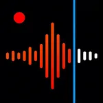 Voice Memos Pro: audio to text icon