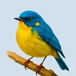 Nature - AI White Noise&Sleep icon