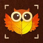 NatureCraft-Nature Art Guide icon