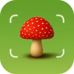 Picture Mushroom Identifier AI icon