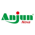 Anjun Express Nova icon