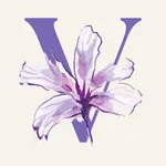 Vulvodynia Journey icon