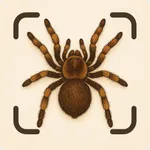 Spider Identifier: Insect ID icon