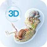 Embryo Master-3D Learning Tool icon